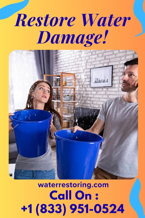 water restoration Local Water Repair Professionals Cynthiana