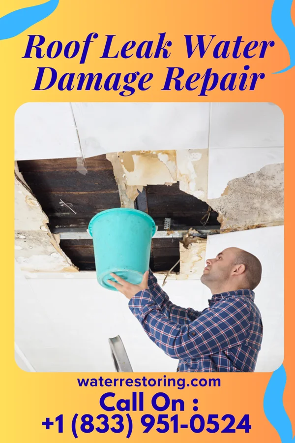 Roof Leak Water Damage Repair in Cynthiana, IN